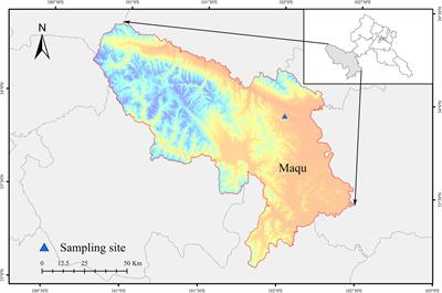 Suitable grazing during the regrowth period promotes plant diversity in winter pastures in the Qinghai-Tibetan plateau